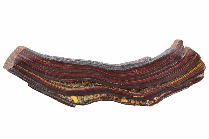 Polished Tiger Iron Stromatolite Slab - Billion Years #222081